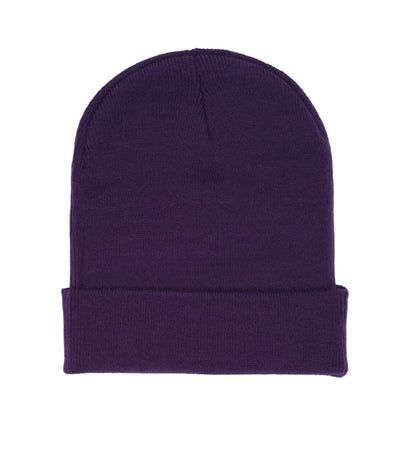 Sp5der Web Rhinestone Beanie Purple
